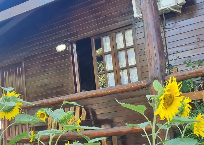 Cabanas Tres Pinos