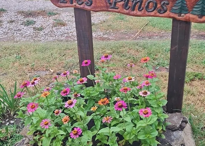 Cabanas Tres Pinos