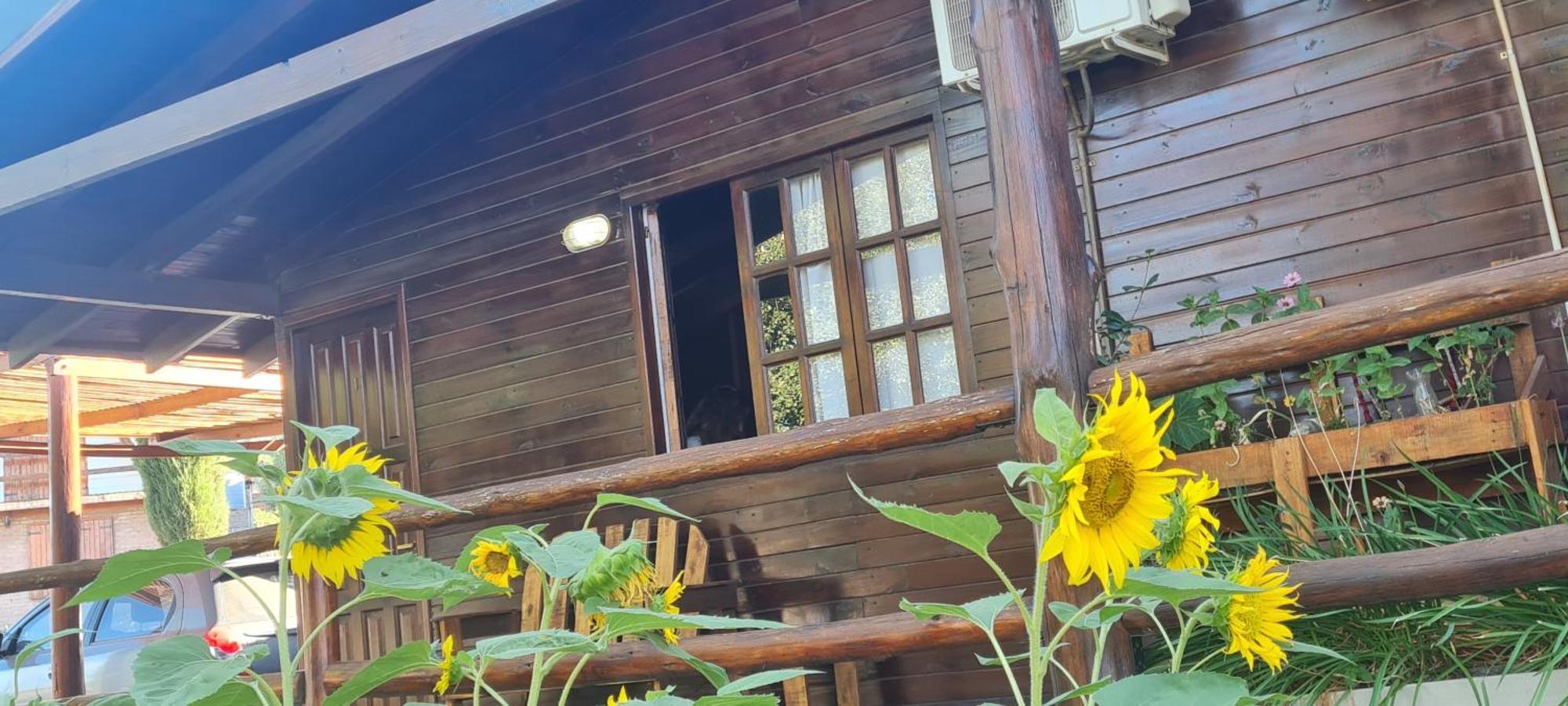Tres Pinos Apartamento *